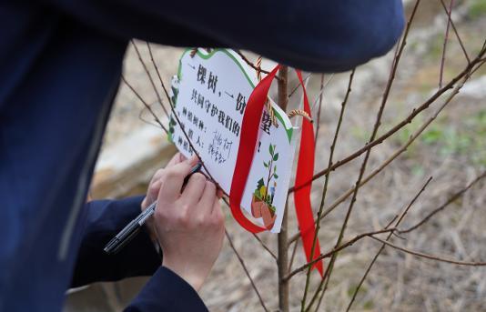 中国·太阳集团tyc9728(品牌公司)·Official website